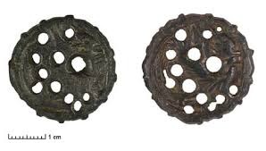 Een Griffioenfibula (vliz.be)
